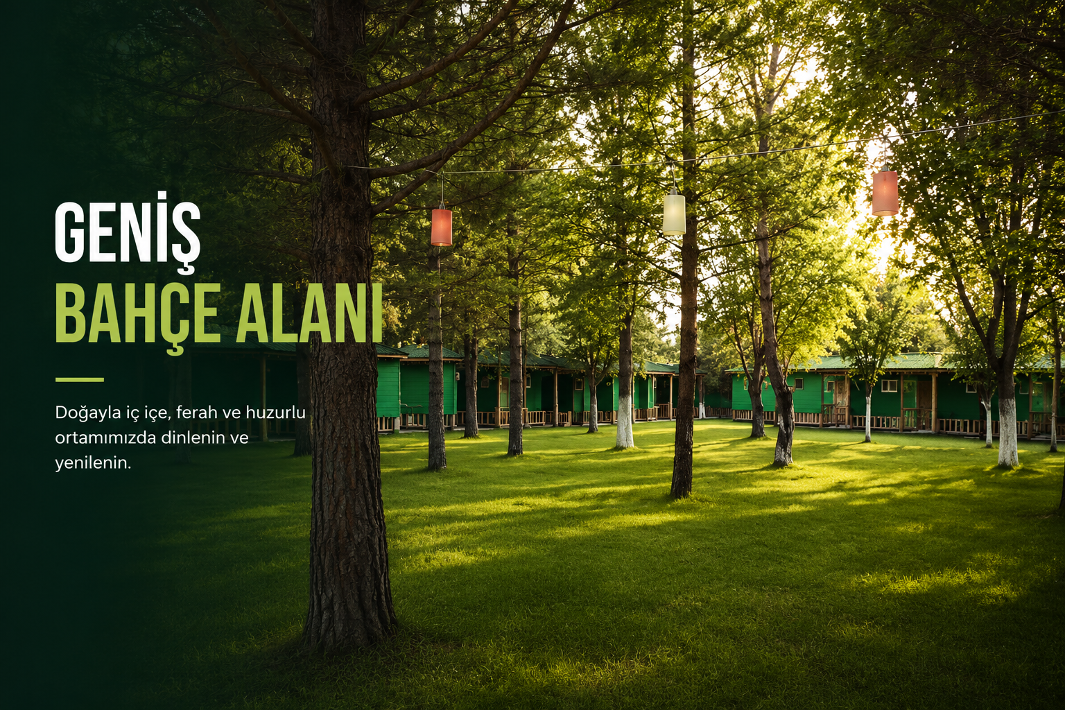 Bahçe ve dış alan